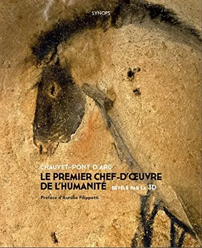 Chauvet-Pont d'Arc : le premier chef-d'oeuvre de l'humanité révélé par la 3D