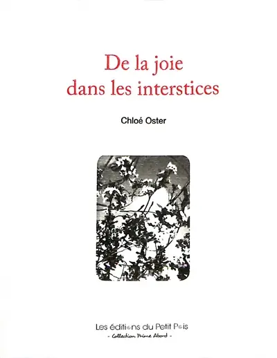 De la joie dans les interstices