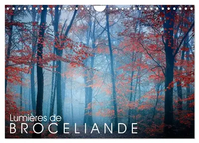 Lumières de Brocéliande (Calendrier mural 2026 DIN A4 vertical), CALVENDO calendrier mensuel : Images de la forêt de Brocéliande