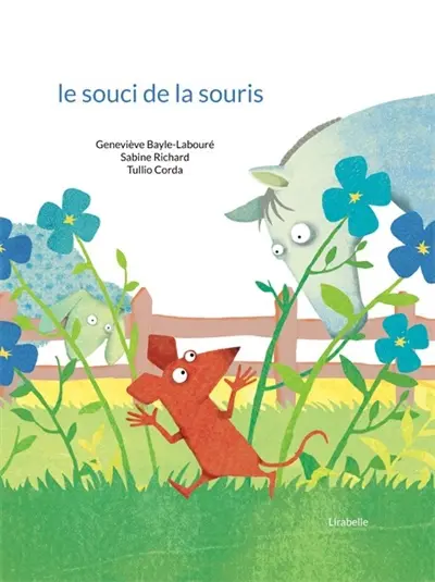 Le souci de la souris