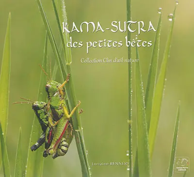 Kama-sutra des petites bêtes