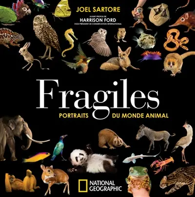 Fragiles : portraits du monde animal