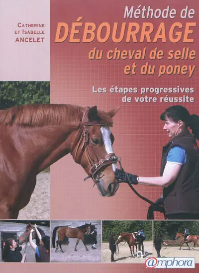Méthode de débourrage du cheval de selle et du poney : les étapes progressives de votre réussite
