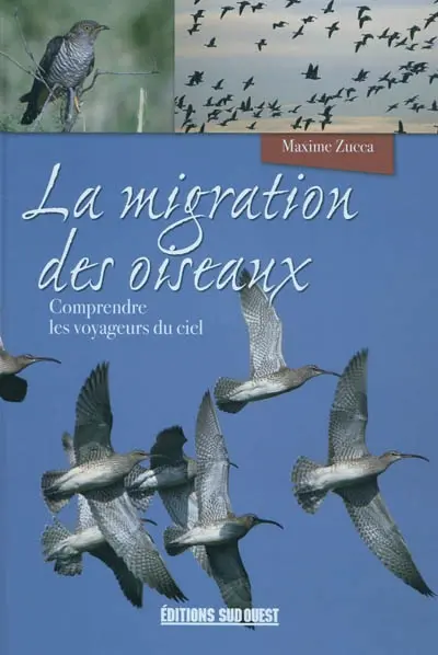 La migration des oiseaux : comprendre les voyageurs du ciel