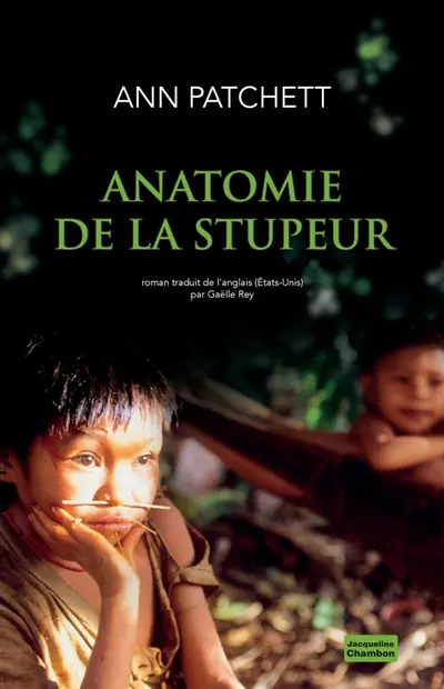 Anatomie de la stupeur