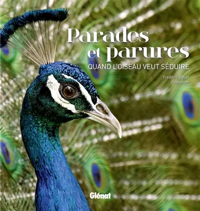 Parades et parures : quand l'oiseau veut séduire