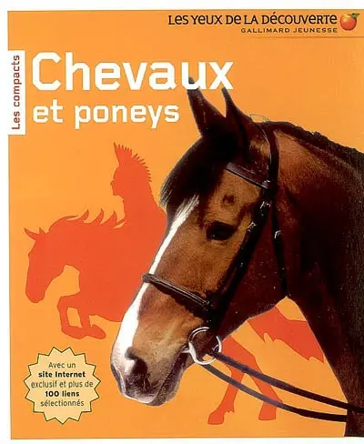 Chevaux et poneys