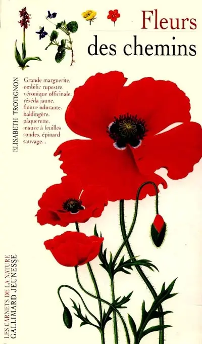 Fleurs des chemins