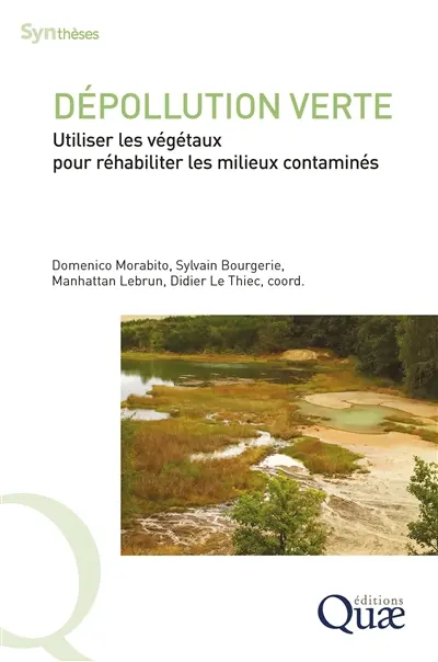 Dépollution verte : utiliser les végétaux pour réhabiliter les milieux contaminés