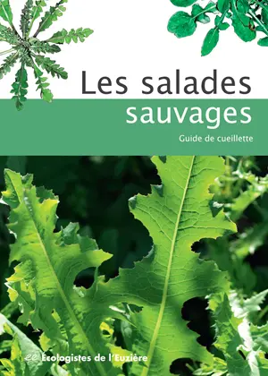 Les salades sauvages : guide de cueillette