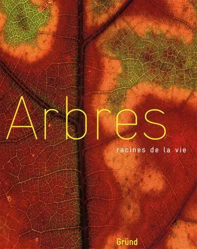 Arbres, racines de la vie