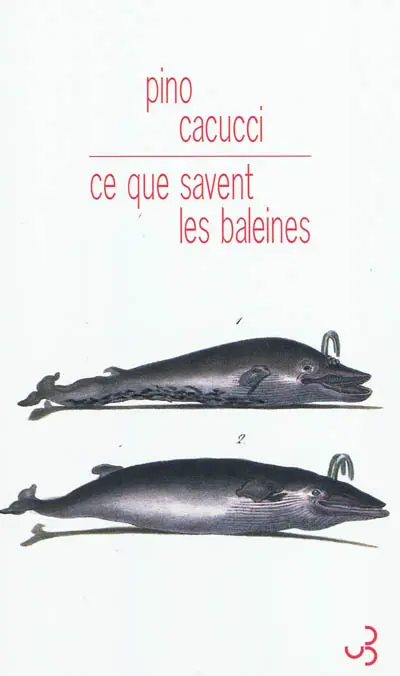 Ce que savent les baleines