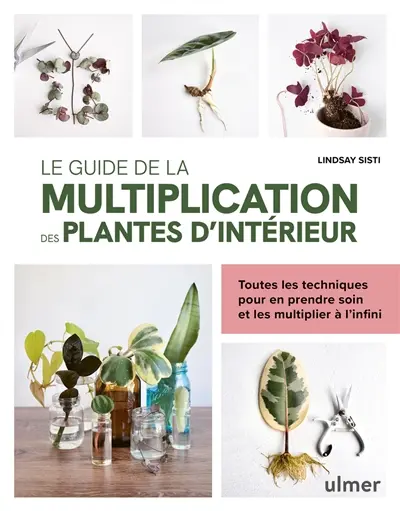 Le guide de la multiplication des plantes d'intérieur : toutes les techniques pour en prendre soin et les multiplier à l'infini