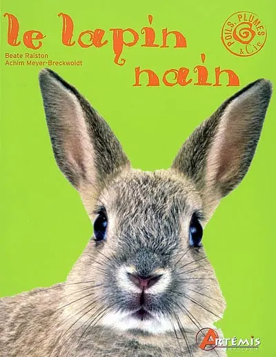 Le lapin nain