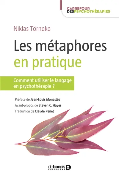 Les métaphores en pratique : comment utiliser le langage en psychothérapie ?