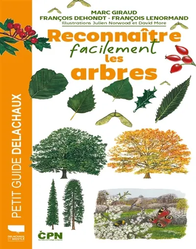 Reconnaître facilement les arbres