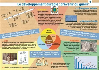 Développement durable : prévenir ou guérir ?