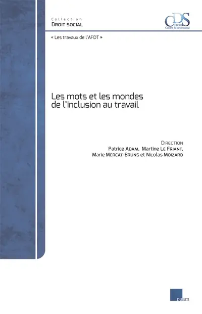 Les mots et les mondes de l'inclusion au travail : les travaux de l'AFDT