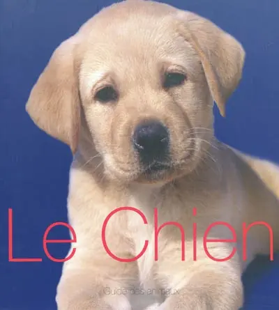Le chien : guide des animaux