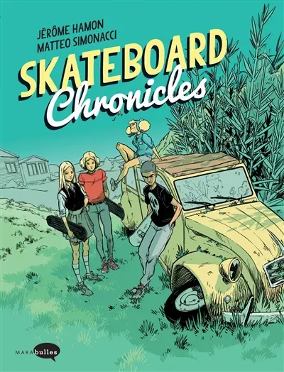 Skateboard chronicles