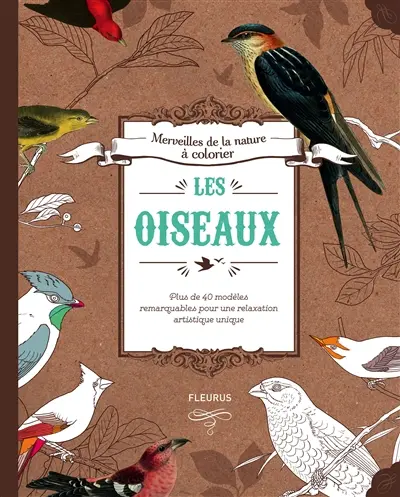 Les oiseaux : plus de 40 modèles remarquables par Audubon, Dresser et Bowen