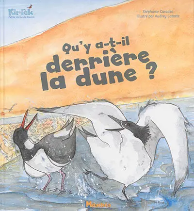 Qu'y a-t-il derrière la dune ?