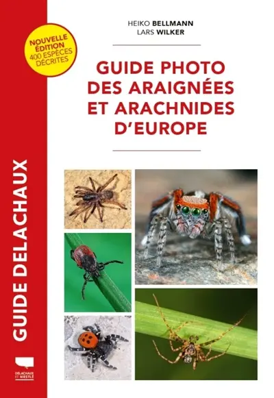 Guide photo des araignées et arachnides d'Europe