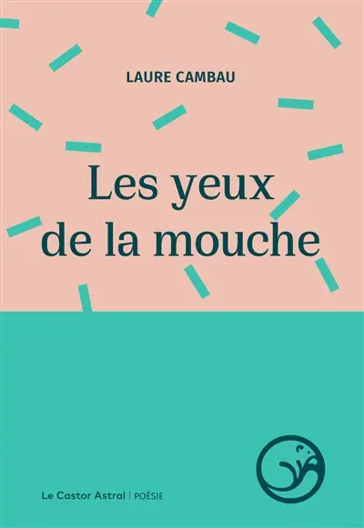 Les yeux de la mouche