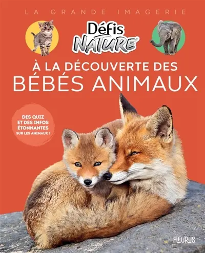 A la découverte des bébés animaux : des quiz et des infos étonnantes sur les animaux !