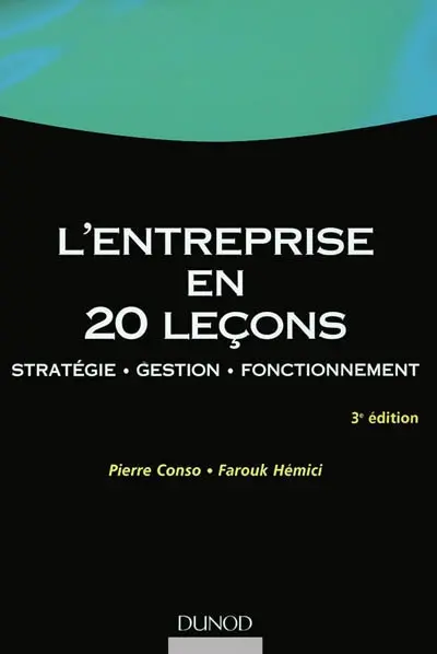 L'entreprise en 20 leçons : stratégie, gestion, fonctionnement