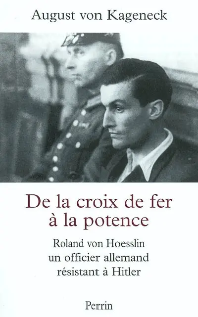 De la croix de fer à la potence : Roland von Hoesslin, officier allemand sous Hitler
