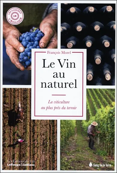 Le vin au naturel : la viticulture au plus près du terroir