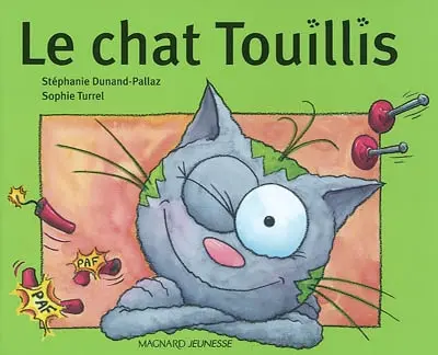Le chat Touillis