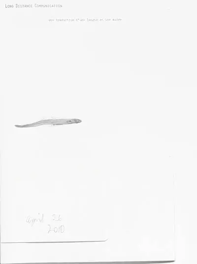 Une traduction d'une langue en une autre. A translation from one language to another : long distance communication