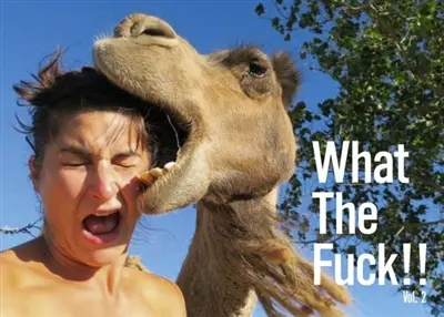 What the fuck!!. Vol. 2