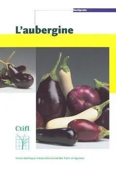 L'aubergine