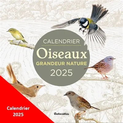 Oiseaux grandeur nature : calendrier 2026