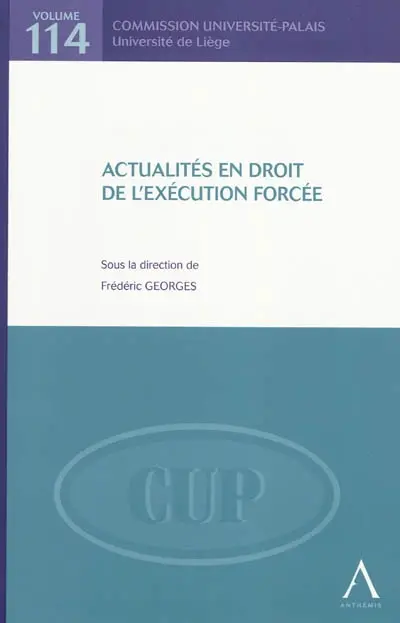 Actualités en droit de l'exécution forcée