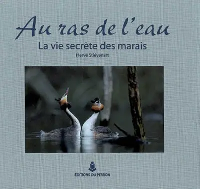 Au ras de l'eau : la vie secrète des marais
