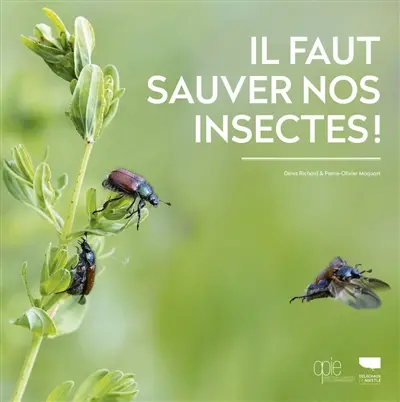 Il faut sauver nos insectes !