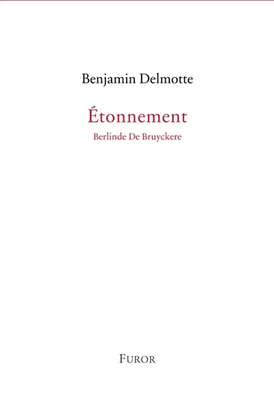 Etonnement : Berlinde De Bruyckere