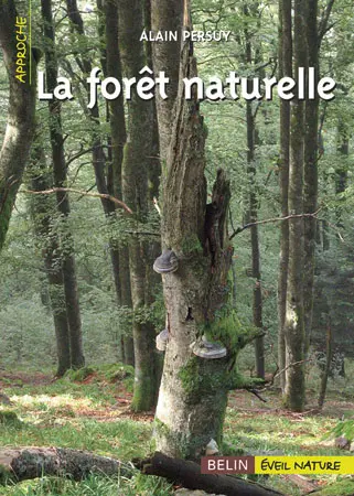 La forêt naturelle