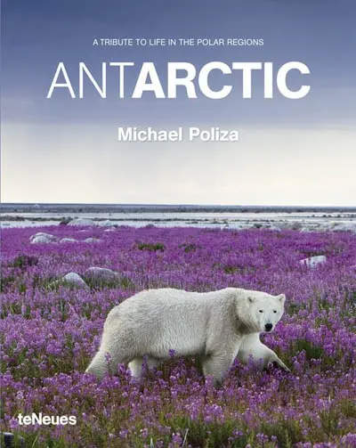 Antarctic : a tribute to life in the polar regions