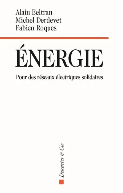 Energie : pour des réseaux électriques solidaires