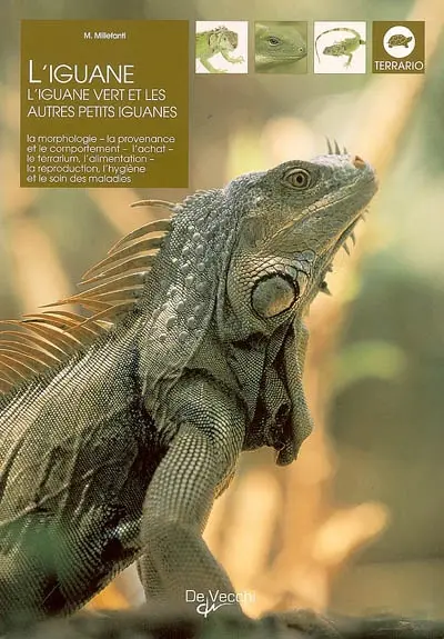L'iguane
