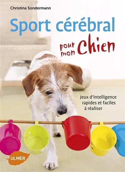 Sport cérébral pour mon chien : jeux d'intelligence rapides et faciles à réaliser