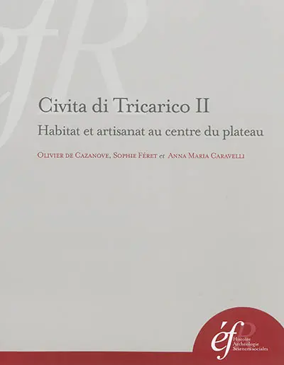 Civita di Tricarico. Vol. 2. Habitat et artisanat au centre du plateau