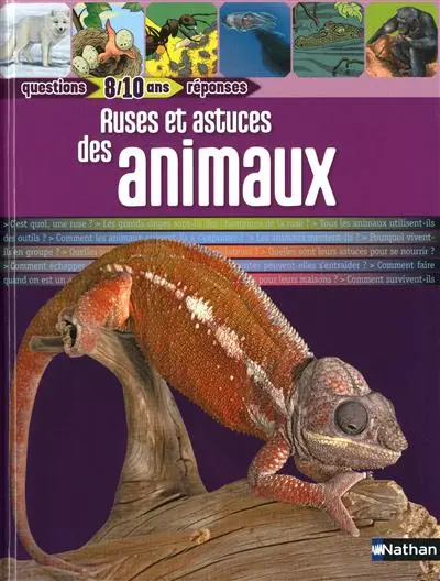 Ruses et astuces des animaux