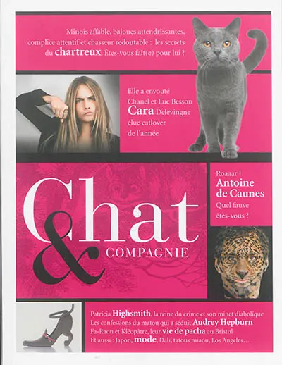 Chat & compagnie, n° 1