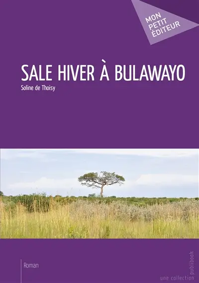 Sale hiver à bulawayo